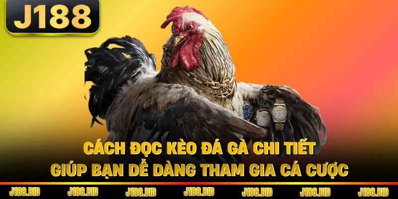Cách đọc kèo đá gà chi tiết giúp bạn dễ dàng tham gia cá cược