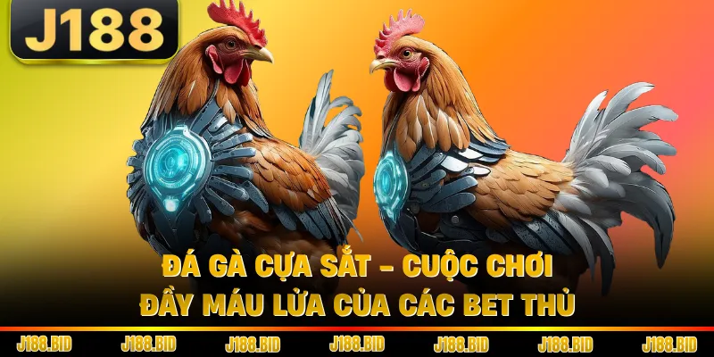 Đá Gà Cựa Sắt - Cuộc Chơi Đầy Máu Lửa Của Các Bet Thủ
