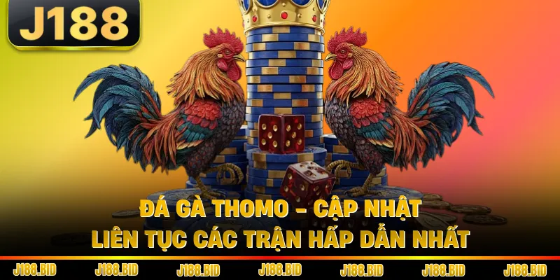 Đá Gà Thomo - Cập Nhật Liên Tục Các Trận Hấp Dẫn Nhất