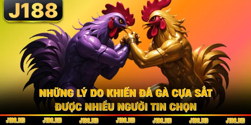 Những lý do khiến đá gà cựa sắt được nhiều người tin chọn