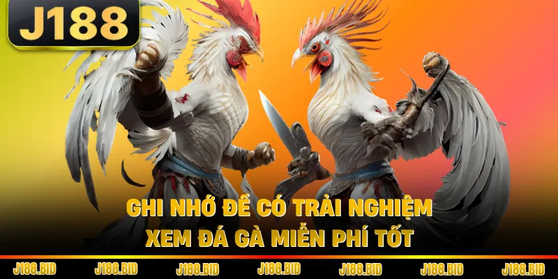 Ghi nhớ để có trải nghiệm xem đá gà miễn phí tốt