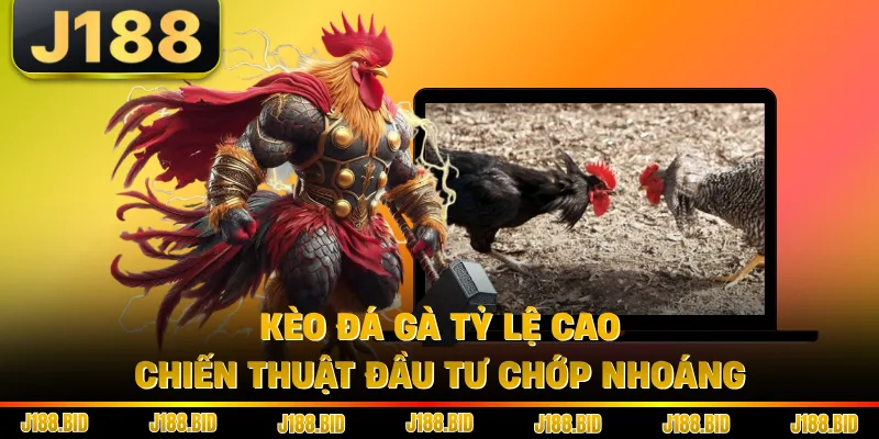 Kèo Đá Gà Tỷ Lệ Cao - Chiến Thuật Đầu Tư Chớp Nhoáng